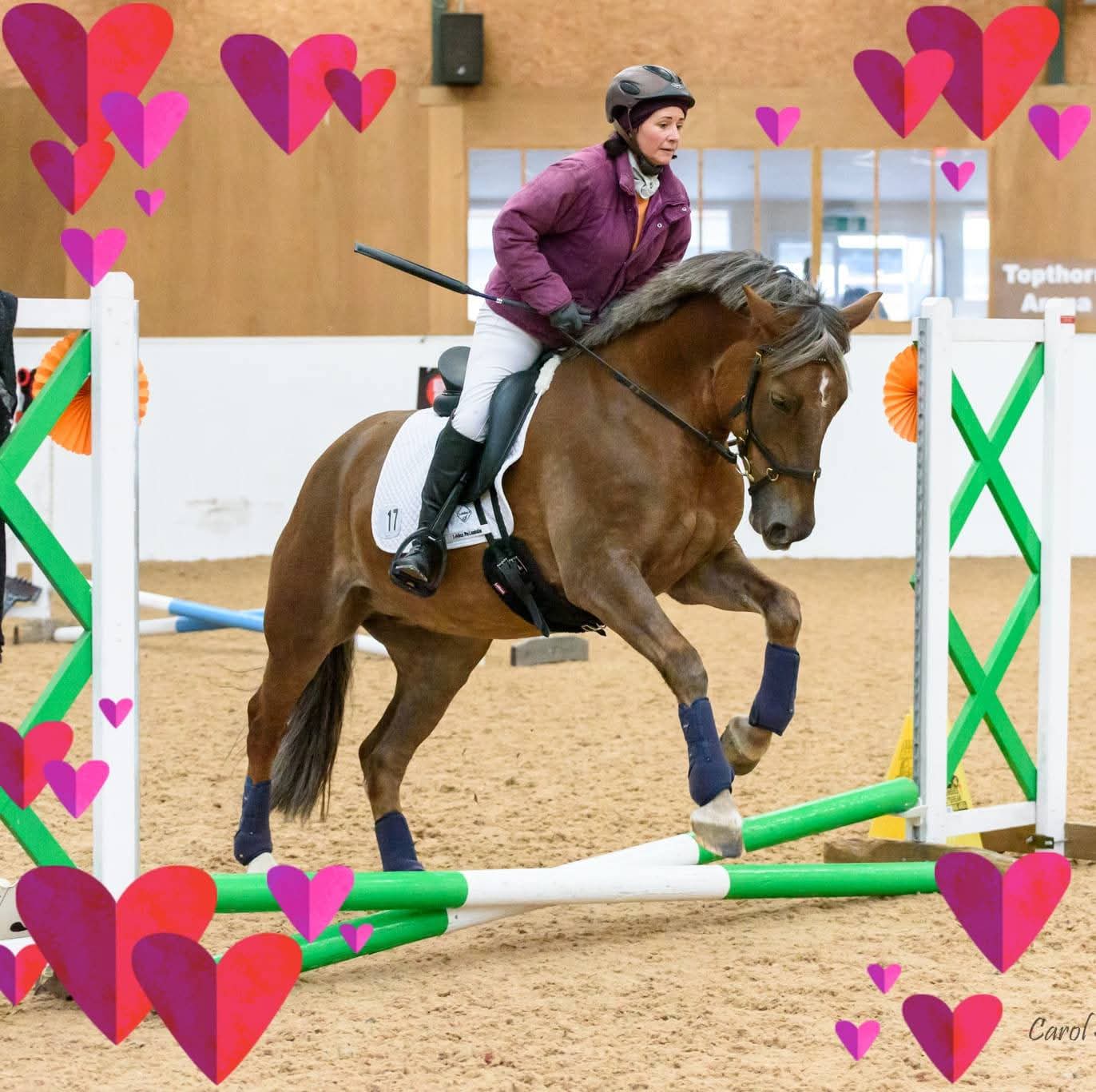 Debs jumping her chestnut horse, surrounded by hearts