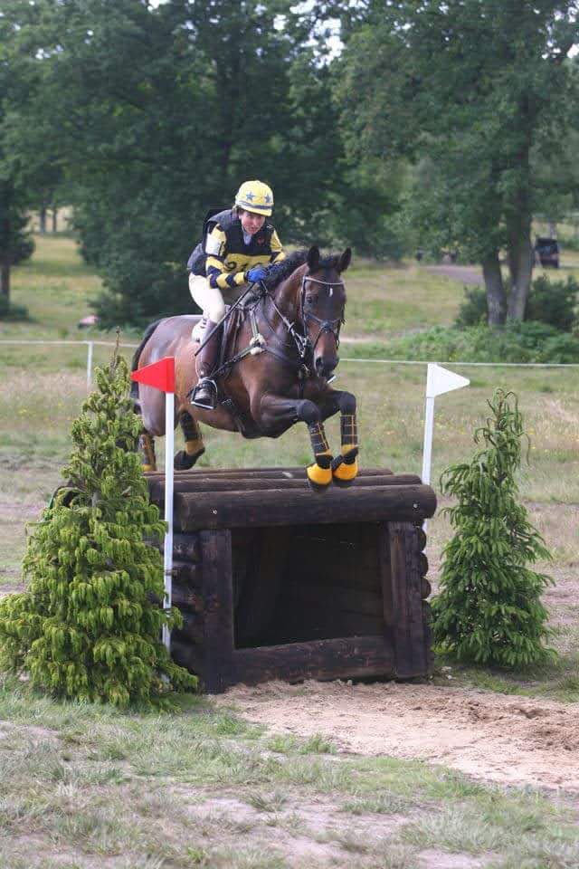 Debs eventing — clearing a cross country fence